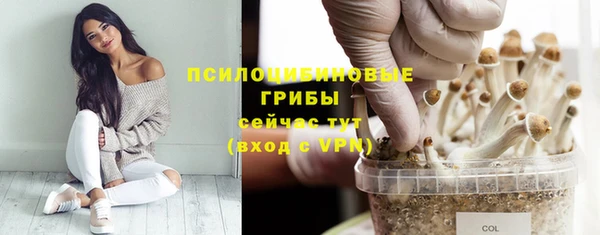 мдпв Волоколамск