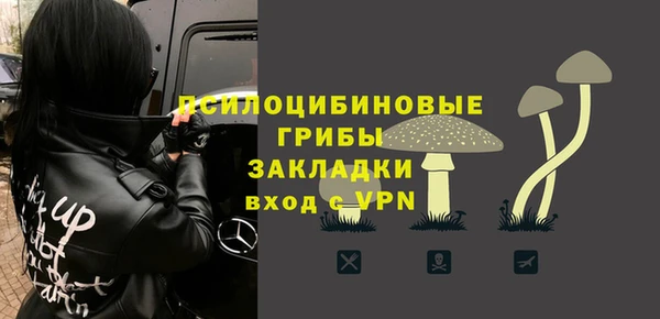 мдпв Волоколамск