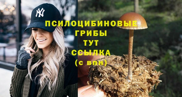 MDMA Premium VHQ Володарск