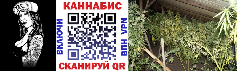 Марихуана Amnesia  Чебоксары 